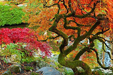 《生化危机8》DLC“温特斯家的传续”7分钟新演示